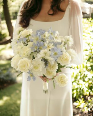 Elizabeth Bloom Bundle